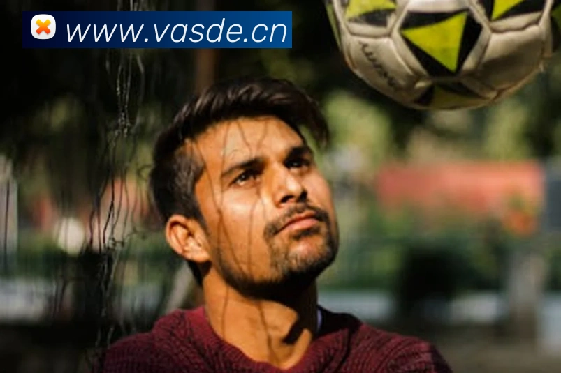 乐鱼体育官网登陆入口平台生态图