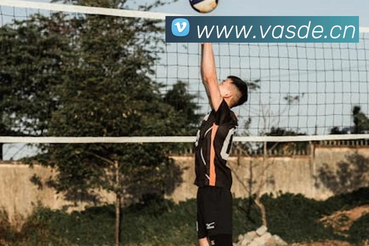 乐鱼体育官网登陆入口APP 封面图